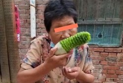 河南主播吃瓜,揭秘幕后故事与美食诱惑