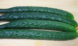 小脆瓜是乳瓜吗怎么吃,乳瓜的别称，美味吃法大揭秘