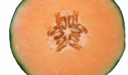 吃干柿子能吃哈密瓜不,干柿子与哈密瓜的奇妙碰撞