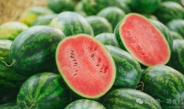 吃瓜忘记种瓜人,人生哲理的反思与启示