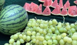 云禾吃瓜,揭秘娱乐圈幕后故事