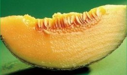 什么时间吃哈密瓜最好,揭秘哈密瓜的黄金食用时间