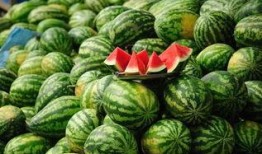 吃瓜别堵路郯城,吃瓜群众勿堵路，共守文明出行之道