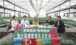 吃瓜群众的文化,吃瓜群众视角下的明星生活