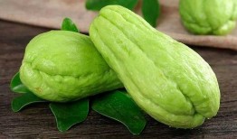 汉中南郑吃瓜,瓜果飘香，品味夏日清凉