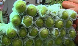 孕期可以吃葫芦瓜吗,孕期适量食用葫芦瓜有益健康