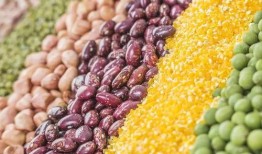 瓜尔胶怎样吃,轻松打造健康生活新选择