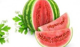 吃瓜星小白,揭秘娱乐圈那些不为人知的幕后故事