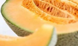 吃瓜蜜瓜,揭秘吃瓜蜜瓜的奇幻之旅