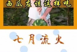 认真吃瓜的意思,揭秘娱乐圈那些事儿