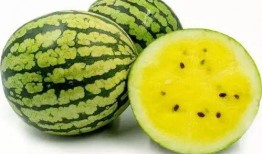 吃瓜老苏,揭秘娱乐圈那些不为人知的幕后故事