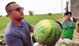 今日吃瓜每日吃瓜,揭秘娱乐圈最新热点事件