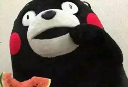 吃瓜表情抱枕,吃瓜表情抱枕，萌趣生活新选择