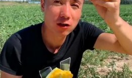 吃瓜很爽后续,揭秘娱乐圈背后的秘密与真相