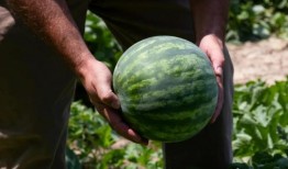 吃瓜中国网,揭秘娱乐圈幕后故事，带你领略娱乐风云