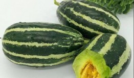 莱阳金海洋吃瓜,瓜果飘香，品味田园生活新篇章