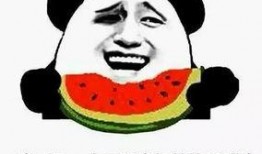 别说话吃瓜群众,揭秘网络围观背后的心理现象