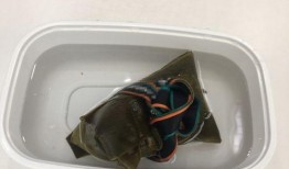 带你吃瓜奇葩拖鞋,带你领略“带你吃瓜奇葩拖鞋”的独特魅力