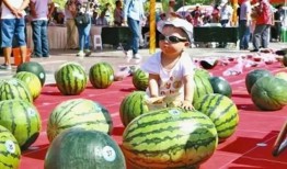 真正吃瓜大赛视频,揭秘真正吃瓜大赛的精彩瞬间