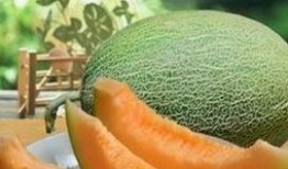 什么时间吃哈密瓜最好,揭秘哈密瓜的黄金食用时间