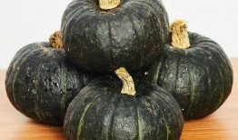 三高可以吃贝贝瓜吗,三高人群适宜食用贝贝瓜的饮食建议