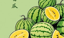 最喜欢吃瓜,揭秘我最爱的瓜类美食之旅