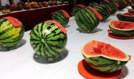 真正吃瓜大赛视频,揭秘真正吃瓜大赛的精彩瞬间