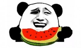 吃瓜变吃席后续,一场美食盛宴的奇妙之旅