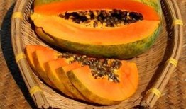 雷州同城吃瓜,吃瓜群众的热议焦点