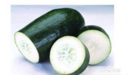 北方吃瓜付钱吗,免费享受还是付费体验？