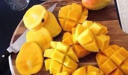 芒果吃瓜的人,揭秘娱乐圈的甜蜜与苦涩