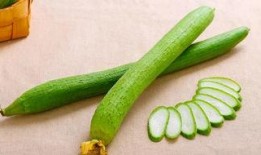 宝宝可以吃的瓜,营养丰富的瓜类食谱解析