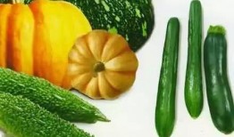 老朱吃瓜,揭秘娱乐圈那些不为人知的幕后故事