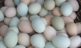 促排卵吃哈密瓜,天然食疗新选择