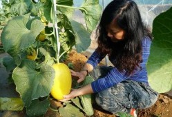 带你吃瓜拼凑古诗,带你领略“带你吃瓜拼凑古诗”的独特魅力