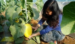 带你吃瓜拼凑古诗,带你领略“带你吃瓜拼凑古诗”的独特魅力