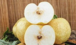 白吊瓜立春可以吃吗,白吊瓜的食用指南